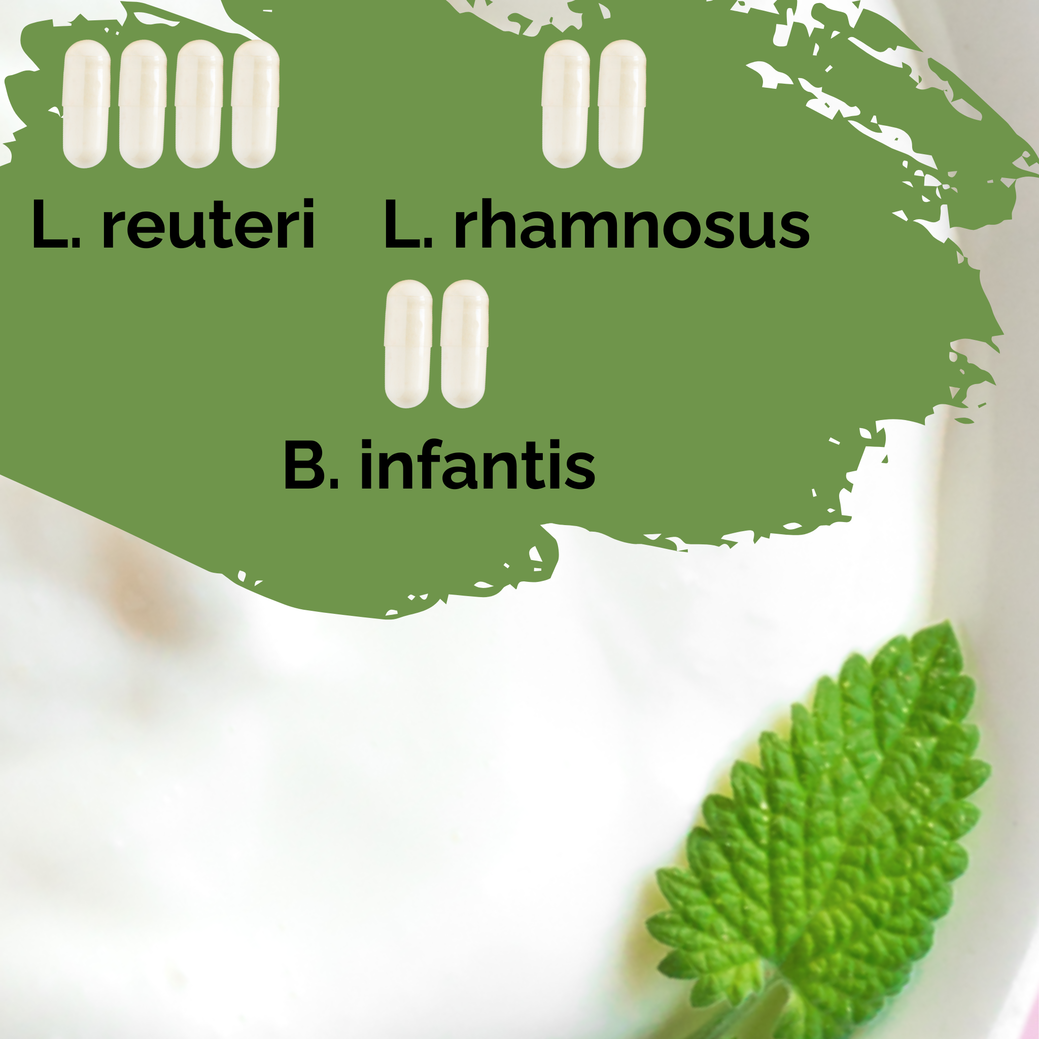 L. reuteri + L. rhamnosus + B. infantis | Conjunto Inicial para Iogurte | HappyGut | Culturas Iniciais | Pack de 3