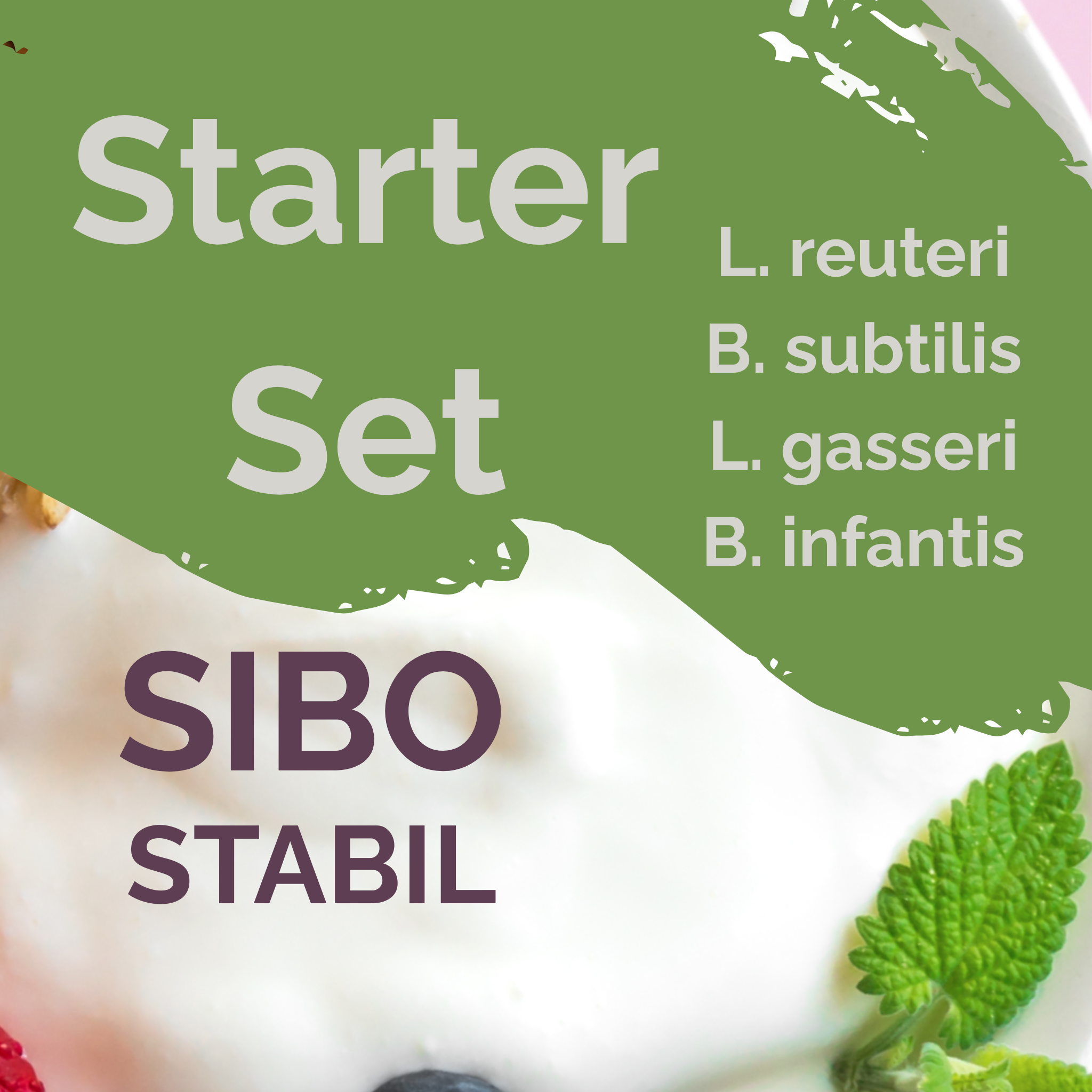 L. reuteri + L. gasseri + B. infantis + B. subtilis | Conjunto Inicial para Iogurte | SIBOStable | Culturas Iniciais | Pack de 3